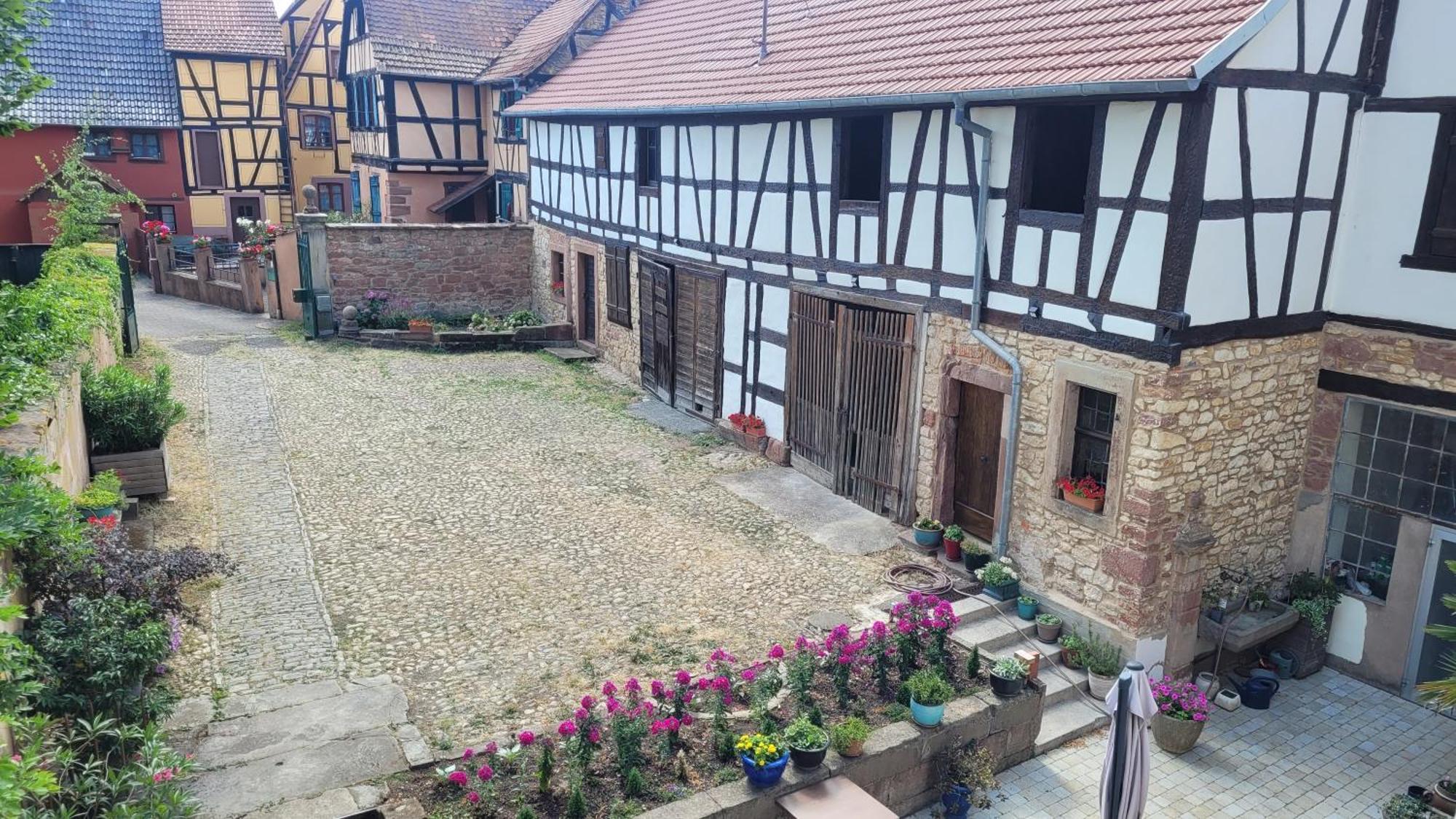 Chambres D'Hotes Du Marche Aux Grains Bouxwiller  Exterior foto